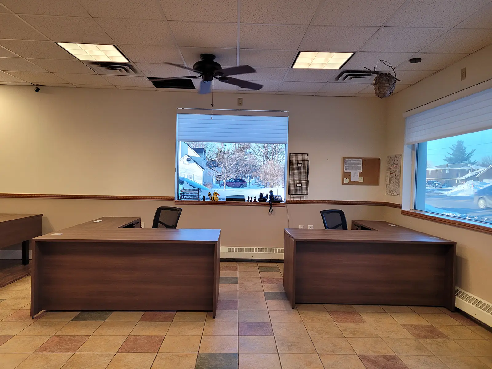 All Pest project photo 2