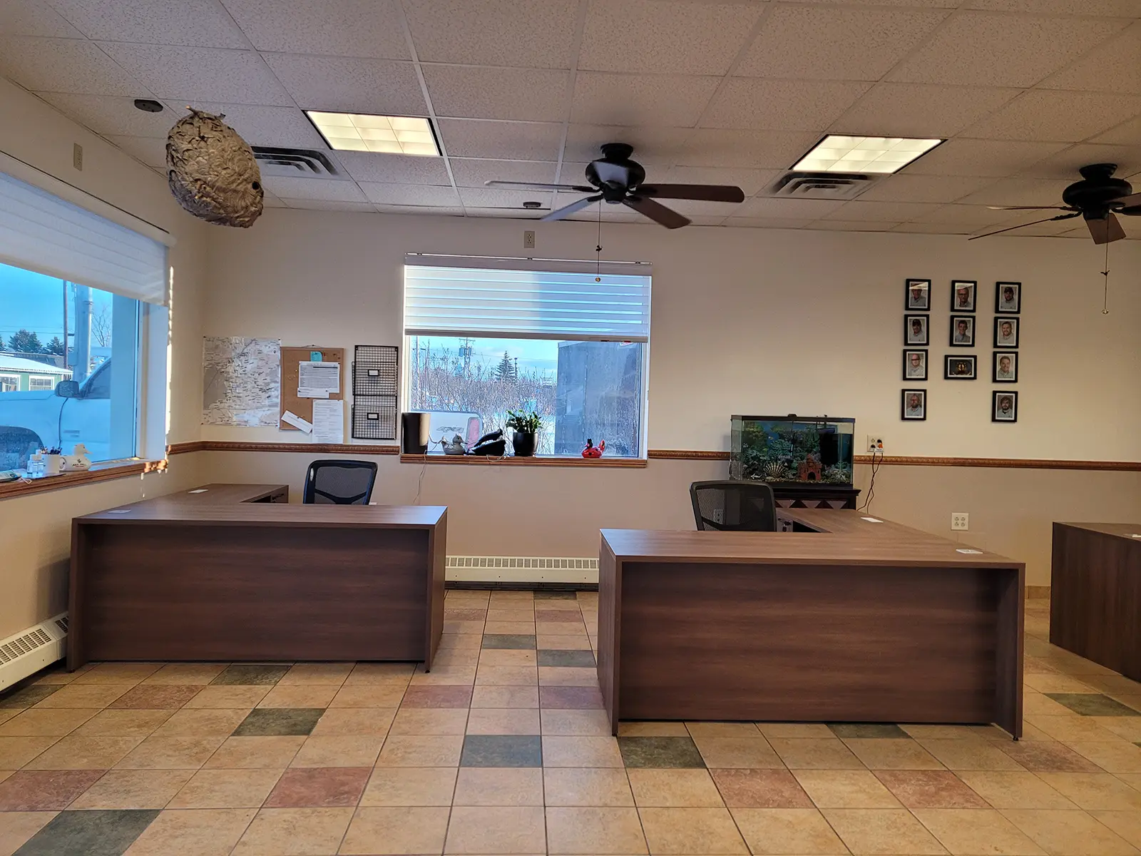 All Pest project photo 5