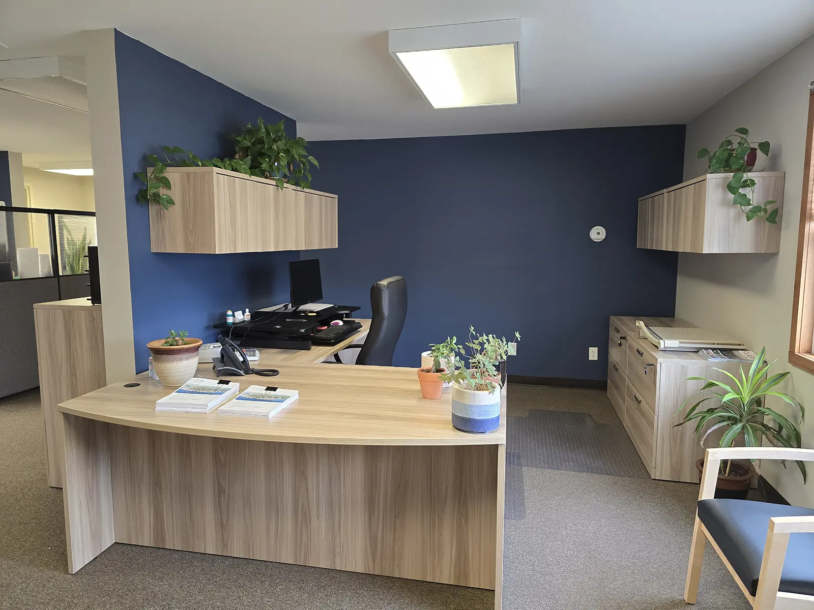 North Jefferson Improvement Association project photo 5