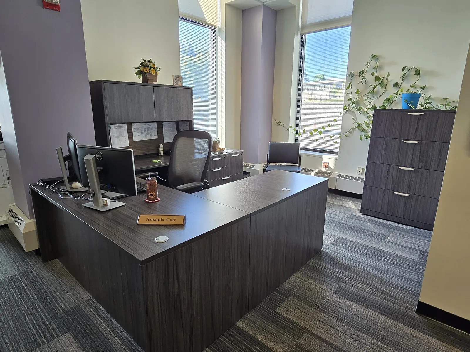 SUNY Canton – Counseling Department project photo 18